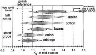 Οι παράγοντες που επηρεάζουν τον φυτικό συντελεστή kc αναφέρονται αναλυτικά παρακάτω: Τύπος της καλλιέργειας Λόγω των διαφορών στη λευκαύγεια, το ύψος της καλλιέργειας, τις αεροδυναµικές ιδιότητες,