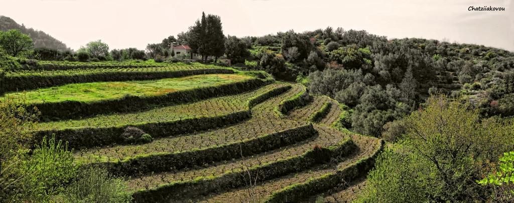 Αλλαγές χρήσης γης 1/2 11 Ενότητα