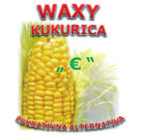 Waxy kukurica (Vosková kukurica) Spoločnosť AGRANA v rámci svojich odvetví ponúka partnerom širšie možnosti realizácie a zhodnocovania poľnohospodárskych plodín. Jedným z odvetí, je aj divízia škrob.