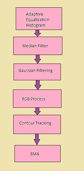 Εικόνα 72: Block diagram εκτίμησης μέσης ταχύτητας ερυθρών αιμοσφαιρίων Πιο συγκεκριμένα, από τα παραπάνω βήματα της εικόνας 72, θα αναλυθούν όλα εκτός από το στάδιο του Block Matching Algorithm, που