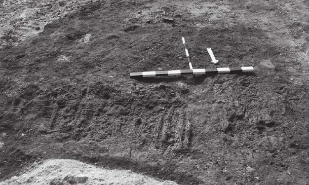 Εικ. 1. Άποψη της ανασκαφής στη θέση «Λαγοκορυφή» Μελενικιτσίου. Σχ. 1. Χάρτης με τις νέες θέσεις της περιοχής ανατολικά του Στρυμόνα Ποταμού. μαϊκών χρόνων που εντοπίστηκε 500 μ.