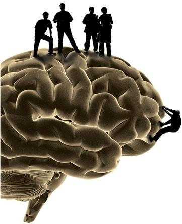 Οι περιοχές του εγκεφάλου είναι εξειδικευµένες για διαφορετικές λειτουργίες Η γλώσσα και άλλες γνωστικές λειτουργίες