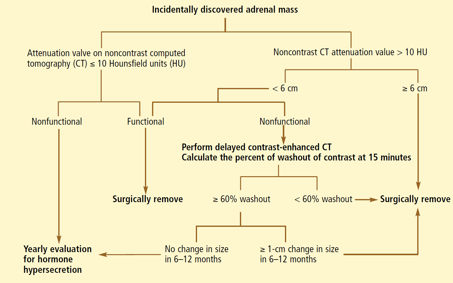 Incidentaloma Work-up βλ.αναλυτικά κεφ. ADR-13 INCIDENTALOMA.