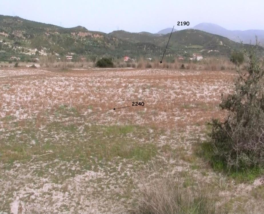 Στην περιοχή GR2550005, ο οικότοπος εντοπίστηκε σε μία μόνο θέση, κοντά στον οικισμό του Νεοχωρίου, όπου μία κοινότητα με τα είδη Trifolium cherleri (κυρίαρχο) και Plantago lagopus αναπτύσσεται σε