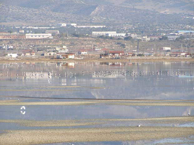 7 Υγρότοπος Βουρκάρι