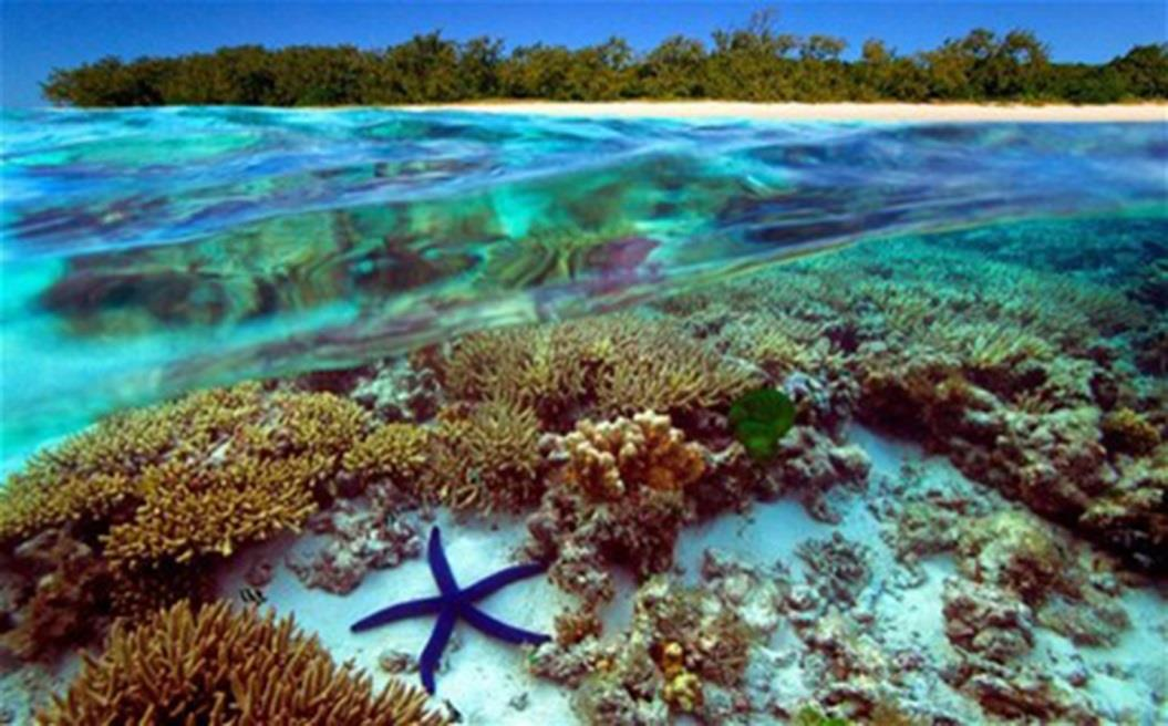 Προχωρώντας στις λειτουργίες της ζωής, ο επισκέπτης ανακαλύπτει δύο οικοσυστήματα, ένα υδάτινο και ένα χερσαίο. Ο κοραλλιογενής ύφαλος αποτελεί ένα από τα πιο πλούσια υδάτινα περιβάλλοντα.
