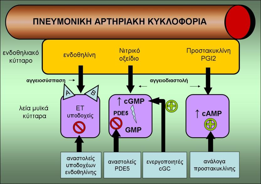 ή κατά τη διάρκεια του ύπνου. Συνήθης στόχος είναι μερική τάση οξυγόνου στο αίμα περί τα 60 mm Hg ή κορεσμός αιμοσφαιρίνης αρτηριακού αίματος περί το 90 %. 6.2.