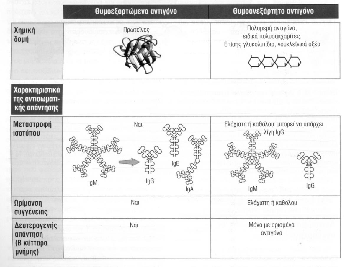 Εικόνα 6. Χαρακτηριστικά των αντισωματικών απαντήσεων σε ανεξάρτητα των Τ κυττάρων αντιγόνα.