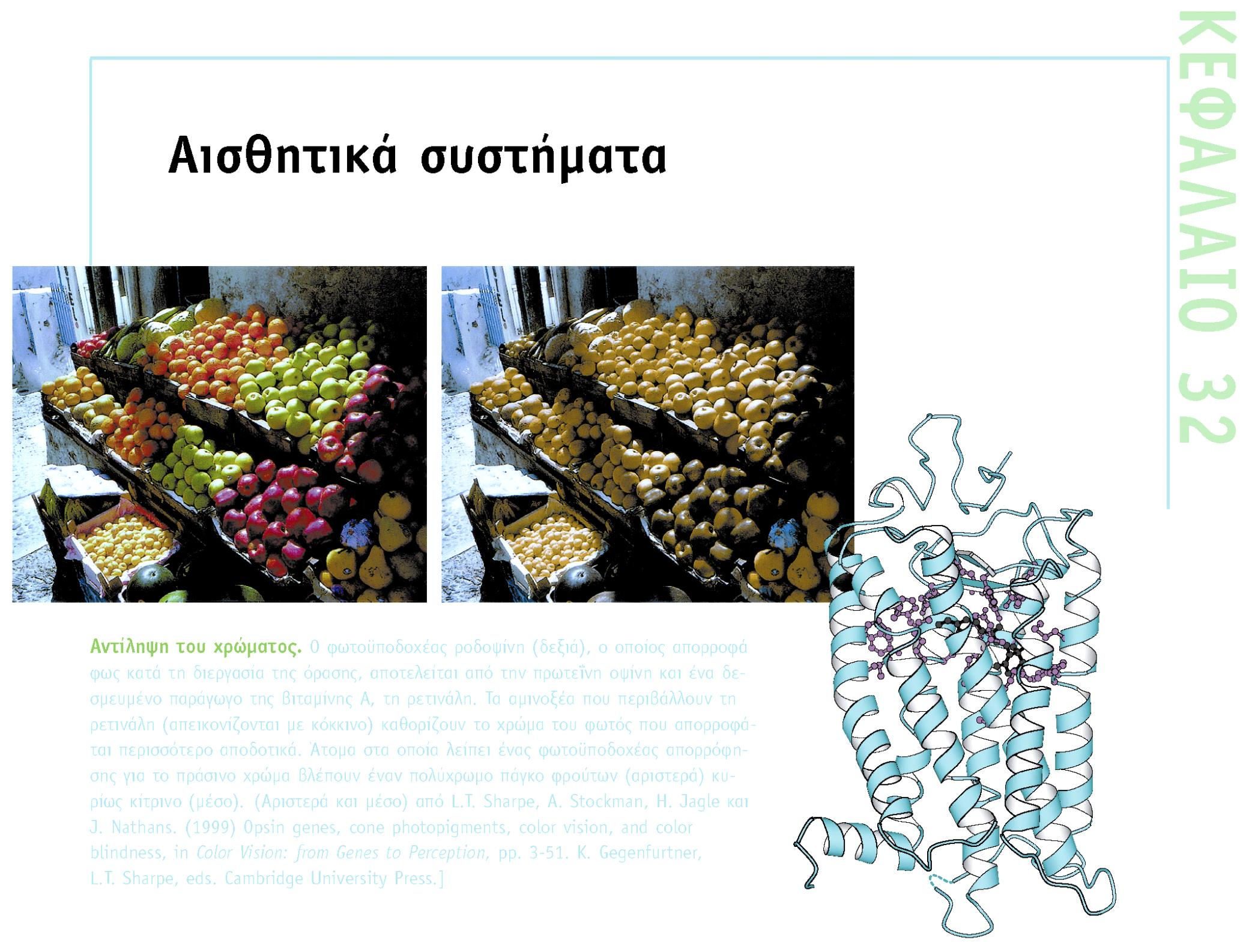 BIOXHMEIA, TOMOΣ II