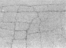 31 Εικόνα 3.4 Εγκάρσιες ρωγμές (Brhel G.L., 1985) 3.2.1.4 Ρωγμές συρρίκνωσης Οι ρωγμές συρρίκνωσης αποτελούν μία διασυνδεδεμένη σειρά από ρωγμές που χωρίζουν το οδόστρωμα σε ακανόνιστα κομμάτια.