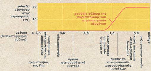 Η αρχή της φωτοσύνθεσης Ο εμπλουτισμός του περιβάλλοντος με οξυγόνο αποτέλεσε απαραίτητη