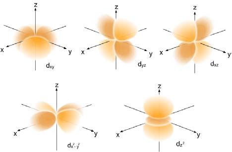 Figura 1.8 a. Orbitali atomici de tip s Orbitali p. Orbitalii de tip p (np x, np y, np z ) populează toate nivelele electronice, începând cu nivelul L (n 2).