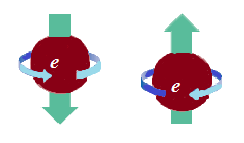 Între nucleoni se manifestă forţe de intensitate deosebită, denumite forţe nucleare, iar între nucleu şi electroni şi respectiv între electronii aceluiaşi atom se manifestă forţe de natura