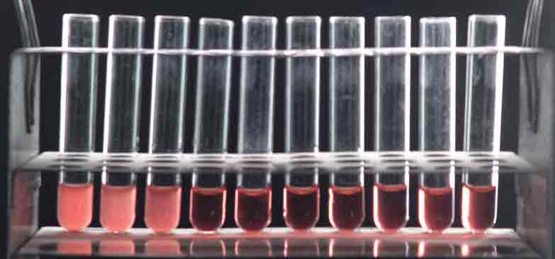Фиксација на комплементот детекција на специфично антитело или антиген во серум; најмала хемолитичка доза