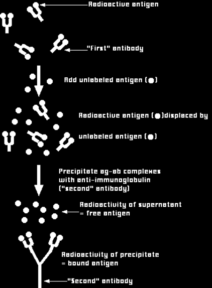 Техники за одвојување на слободен антиген: Додавање на второ ( second ) антитело специфичнозапрвото ( first antibody ) преципитација на