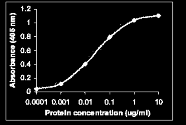 ELISA standard curve. Аb14004 used as primary antibody (0.