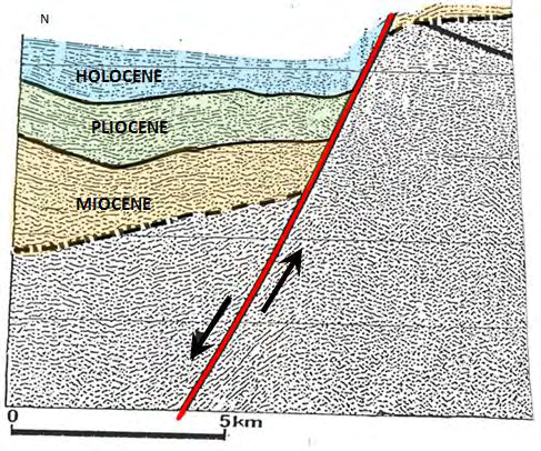 Εικόνα 5.2b: Στη σεισμική αυτή τομή φαίνεται η μεγάλη μετατόπιση εξ αιτίας του κανονικού ρήγματος καθώς μ και το μεγάλο πάχος των ιζημάτων που συγκεντρώθηκαν στο βυθιζόμενο τέμαχος.