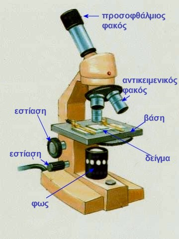 Μεγευντικός φκός - λό μικροσκόιο Είδωλο στο άειρο είδωλο στο άειρο (ντικείμενο στην εστί) Μικρότερη γωνική μεγέυνση Πιο ξεκούρστο μάτι Γωνική μεγέυνση ή