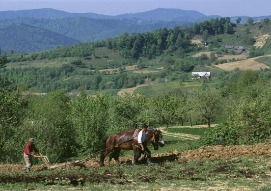 «Η αβεβαιότητα λόγω της εξάρτησης της γεωργικής παραγωγής από μη ελεγχόμενους παράγοντες του περιβάλλοντος και η αβεβαιότητα της αγοράς μπορούν να οδηγήσουν σε σοβαρές διακυμάνσεις, τόσο ως προς τον