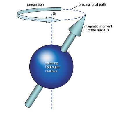 μαγνήτιση. Η μαγνήτιση ενός υλικού είναι ανάλογη της έντασης του εξωτερικού πεδίου, Βο. 1.2.3 Συντονισμός Κάθε πυρήνας υδρογόνου περιστρέφεται γύρω από τον άξονά του, όπως στην εικόνα 5.