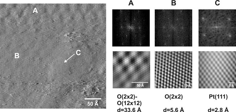 114 Κεφάλαιο 2 να πραγματοποιηθεί σε αποστάσεις πολύ μικρότερες (τάξης μερικών nm). Στα Σχήματα 2.34 και 2.56 μπορεί να φανεί η υπερδομή Pt(111)-(12x12)-Ο που συνυπάρχει με τη δομή Pt(111)- (2x2)-O.