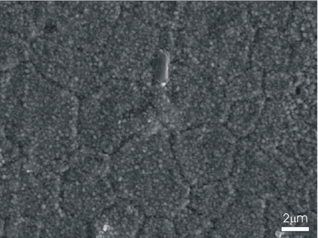 158 Κεφάλαιο 3 (α) (β) (γ) Εικόνα 3.1: Εικόνες από ηλεκτρονική μικροσκοπία σάρωσης: (α) επιφάνεια YSZ, (β) επιφάνεια YSZ όταν έχει εναποτεθεί TiO 2, (γ) επιφάνεια TiO 2 /YSZ όταν έχει εναποτεθεί Pt.