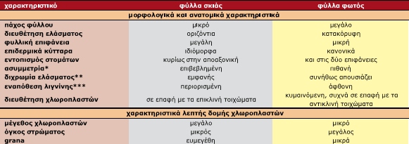 Μορφολογικοί & ανατομικοί χαρακτήρες *ύπαρξη ασύμμετρων (ετερόπλευρων) έναντι των συμμετρικών (αμφίπλευρων) φύλλων όσον αφορά στον διαχωρισμό του μεσοφύλλου σε δρυφρακτοειδές και σπογγώδες παρέγχυμα.