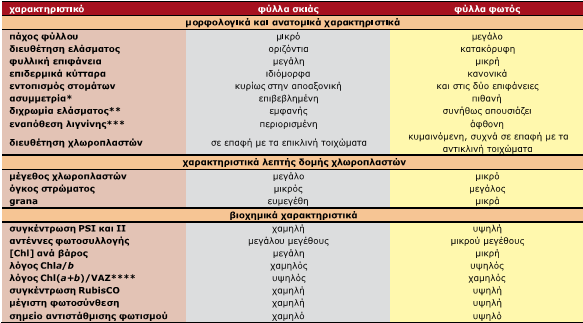 Λειτουργικές