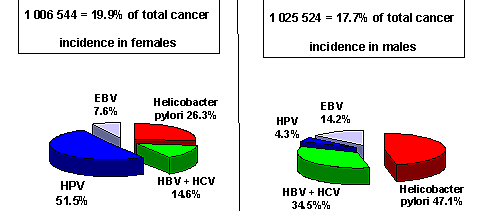 Καρκινογόνοι λοιμώδεις παράγοντες Αιτία καρκίνου στο ~20% των περιπτώσεων HPV # 2 περιβαλλοντικός κίνδυνος για καρκίνο μετά τον καπνό του τσιγάρου!