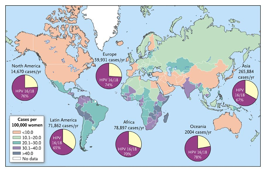 Καρκίνος τραχήλου και HPV16/18/rest διεθνώς Δεύτερος πιο συχνός καρκίνος στις γυναίκες παγκοσμίως (10%) HPV 18 αυξημένο ποσοστό στα