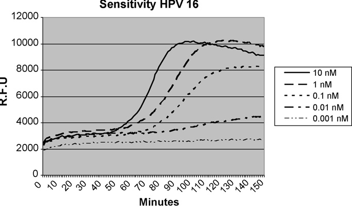 B. mrna detection HPV E6/7 NASBA 1) NucliSens HPV (Biomerieux) -ex Pre-Tect Proofer (Norchip) Full transcript, 5 types in 3 tubes: i) HPV 16/U1 ctrl