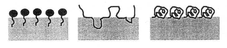 Νερό (α) (β) (γ) Διεπιφάνεια Έλαιο Σχήμα 2.2. Προσανατολισμός των μορίων γαλακτωματοποιητών στη διεπιφάνεια ελαίου-νερού : (α) μόριο μικρού μεγέθους, (β) ευέλικτο μακρομόριο και (γ) σφαιροπρωτεΐνη.