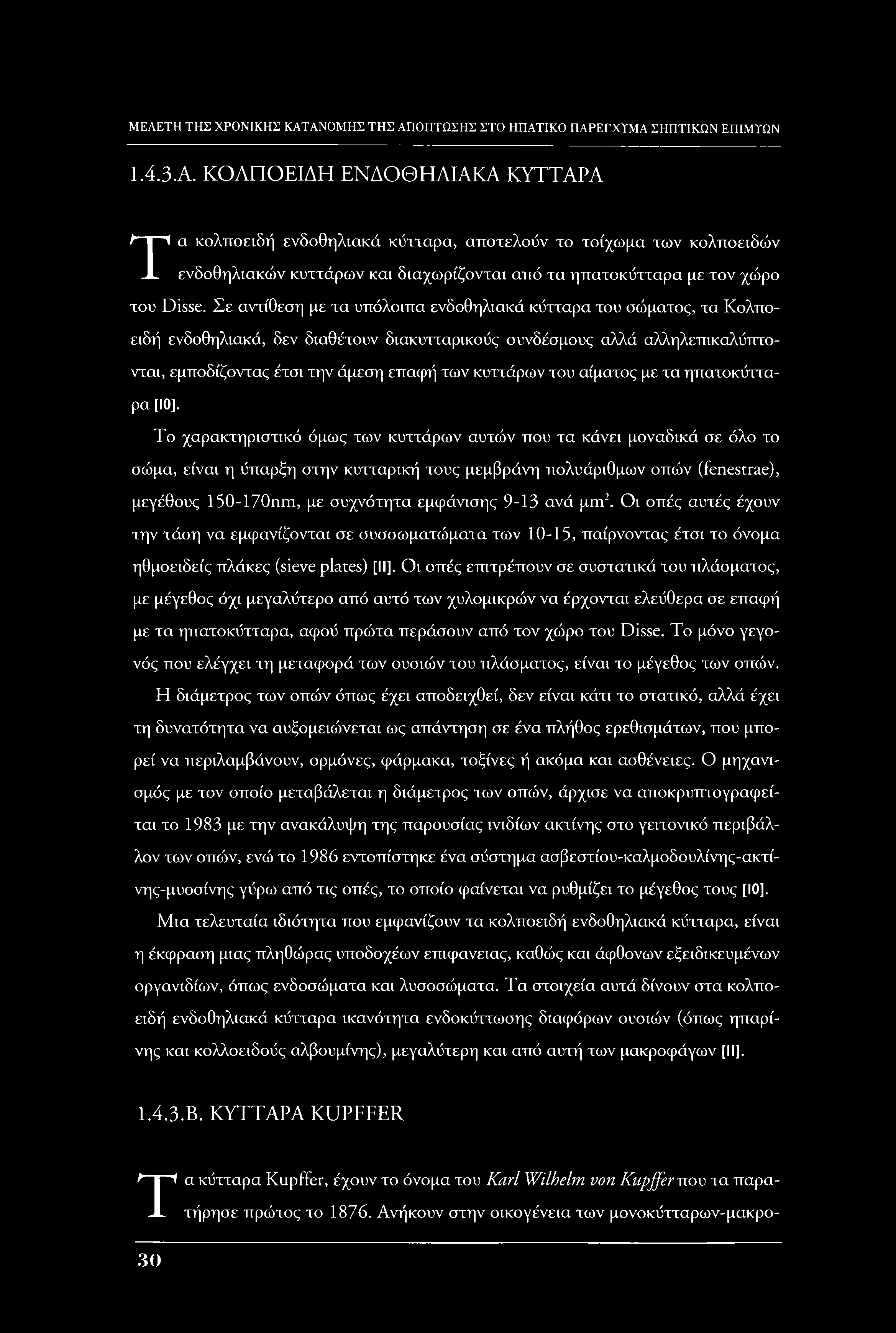 Ι.4.3.Α. ΚΟΛΠΟΕΙΔΗ ΕΝΔΟΘΗΛΙΑΚΑ ΚΥΤΤΑΡΑ Τα κολποειδή ενδοθηλιακά κύτταρα, αποτελούν το τοίχωμα των κολποειδών ενδοθηλιακών κυττάρων και διαχωρίζονται από τα ηπατοκύτταρα με τον χώρο του Disse.