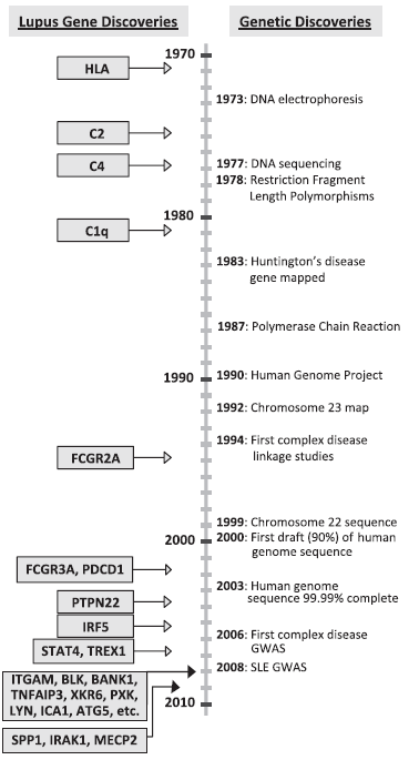 ΓΕΝΕΤΙΚΗ ΣΤΟΝ ΣΕΛ (30%) GENOME-WIDE ASSOCIATION STUDIES (GWAS) >50 SLE-associated genes/loci ΟΜΩΣ Εξηγούν το 10-20% της κληρονομικότητας Κάθε