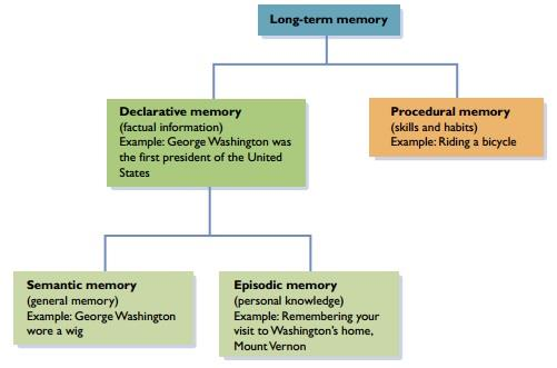 Προσέγγιση τριών συστημάτων της μνήμης Για την ανάλυση των συντελεστών της μνήμης έχει αναπτυχθεί η θεωρία των τριών συστημάτων, σκοπός της οποίας είναι να προσδιορίσει τον τρόπο λειτουργίας της.