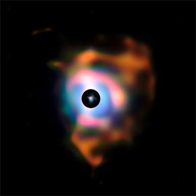 Φασματικός τύπος Μ Οι αστέρες αυτοί είναι οι σπανιότεροι και αντιστοιχούν μόλις στο 3% του συνόλου των αστέρων που έχουν παρατηρηθεί φασματοσκοπικά.