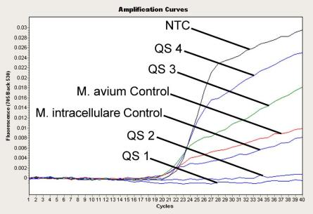 Εικ. 13: Ανίχνευση των προτύπων ποσοτικοποίησης (M. tuberculosis LC QS 1-4) στο κανάλι φθορισμού 640/Back 530 του οργάνου LightCycler 2.0. NTC: nontemplate control (αρνητικό πρότυπο). Εικ.