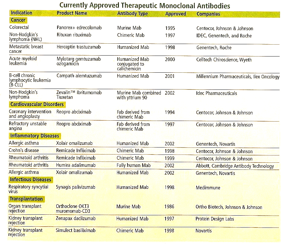 Antigen CD20 (B cell) HER2 CD33