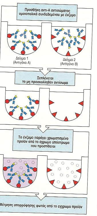 ΕLISA για ανίχνευση