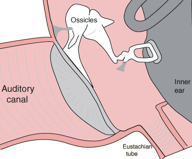 59 Fig. 3.