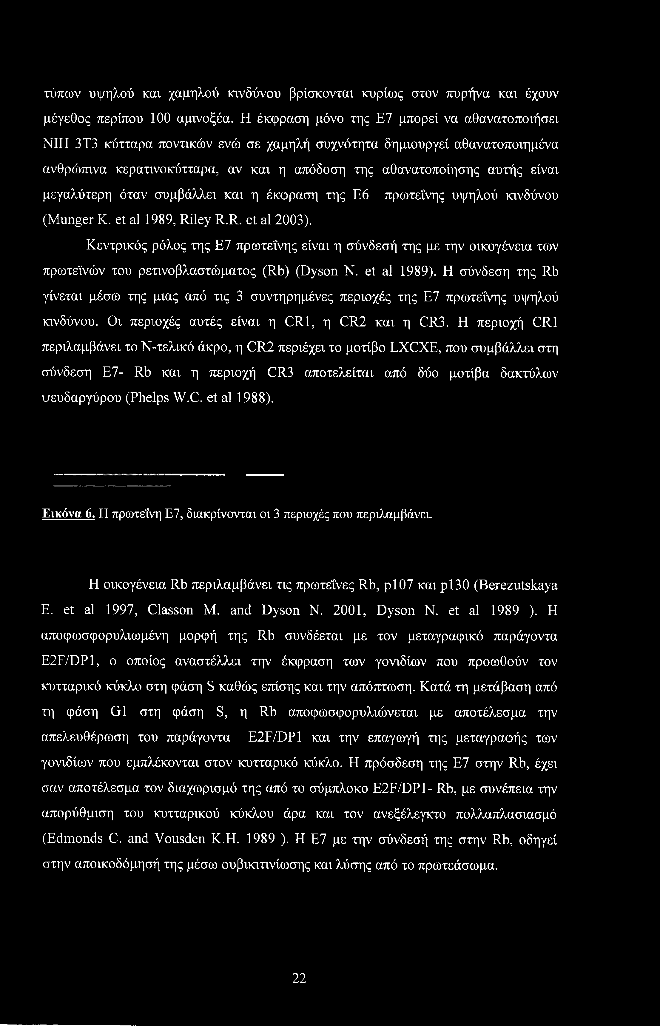 τύπων υψηλού καν χαμηλού κινδύνου βρίσκονται κυρίως στον πυρήνα και έχουν μέγεθος περίπου 100 αμινοξέα.