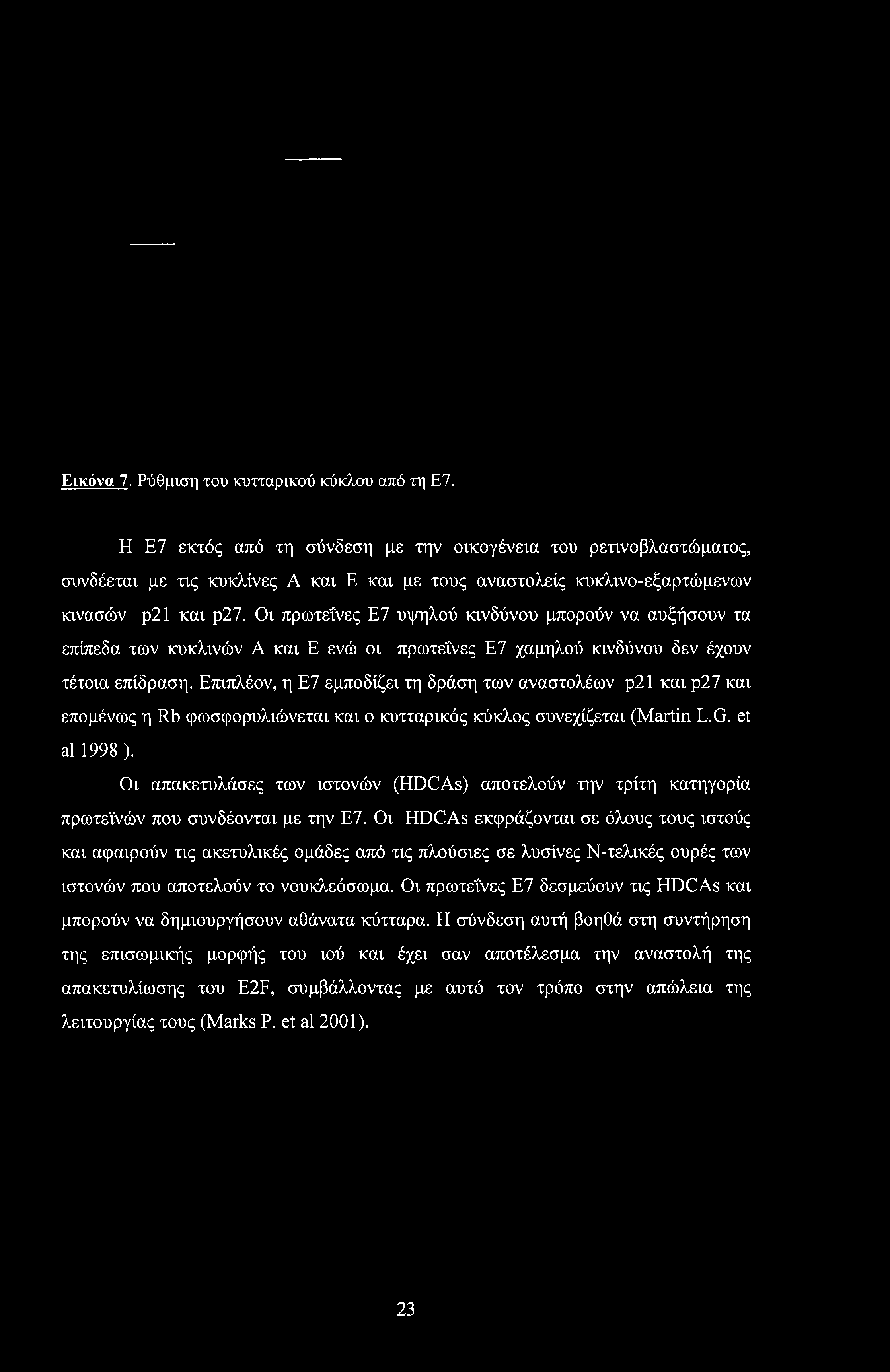 Εικόνα 7. Ρύθμιση του κυτταρικού κύκλου από τη Ε7.