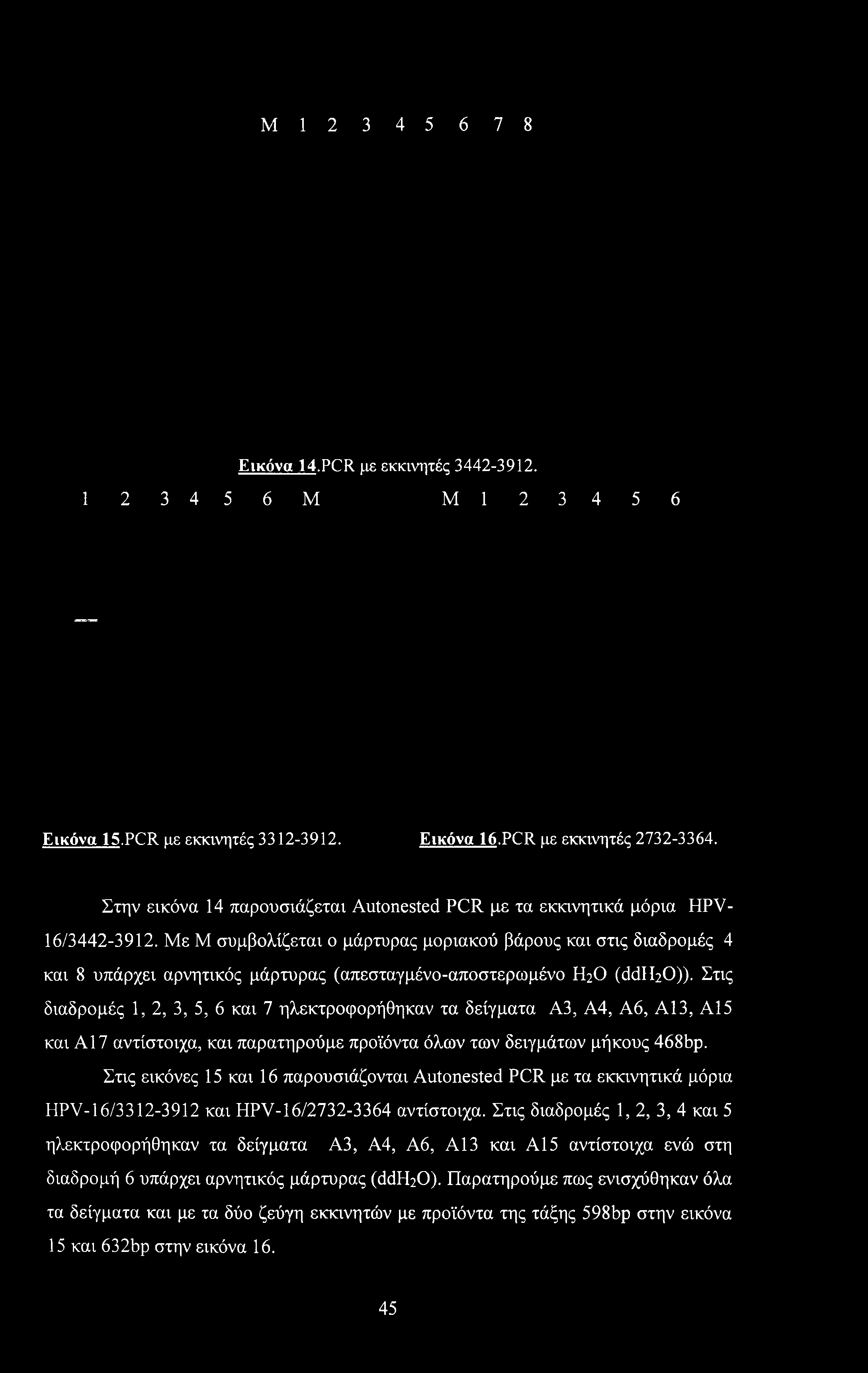 M12345678 Εικόνα 14.PCR με εκκινητές 3442-3912. 1 2 3 4 5 6 Μ Μ 1 2 3 4 5 6 Εικόνα 15.PCR με εκκινητές 3312-3912. Εικόνα 16.PCR με εκκινητές 2732-3364.