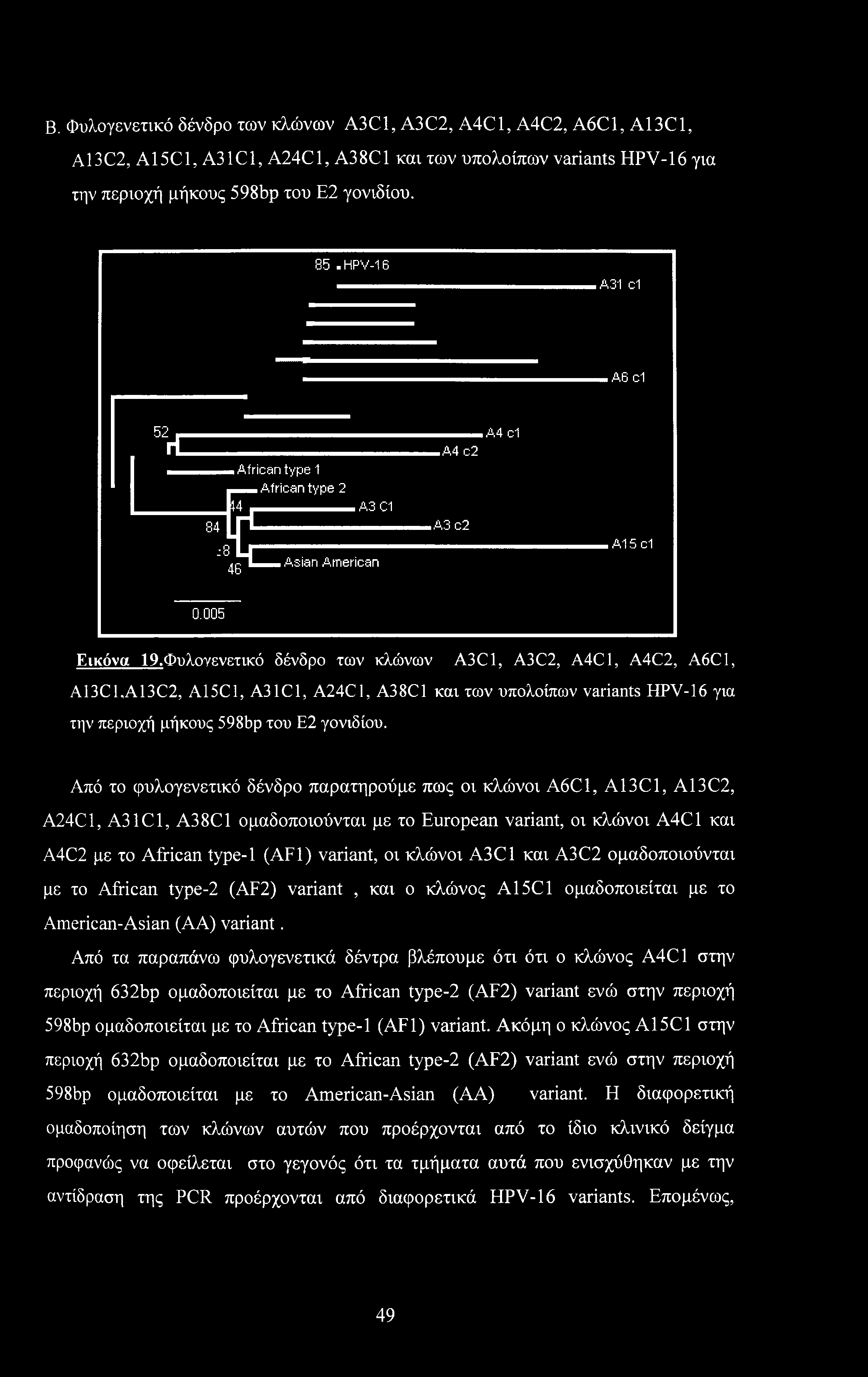 Β. Φυλογενετικό δένδρο των κλώνων A3C1, A3C2, A4C1, A4C2, A6C1, A13C1, A13C2, A15C1, A31C1, A24C1, A38C1 και των υπολοίπων variants HPV-16 για την περιοχή μήκους 598bp του Ε2 γονιδίου. 85.