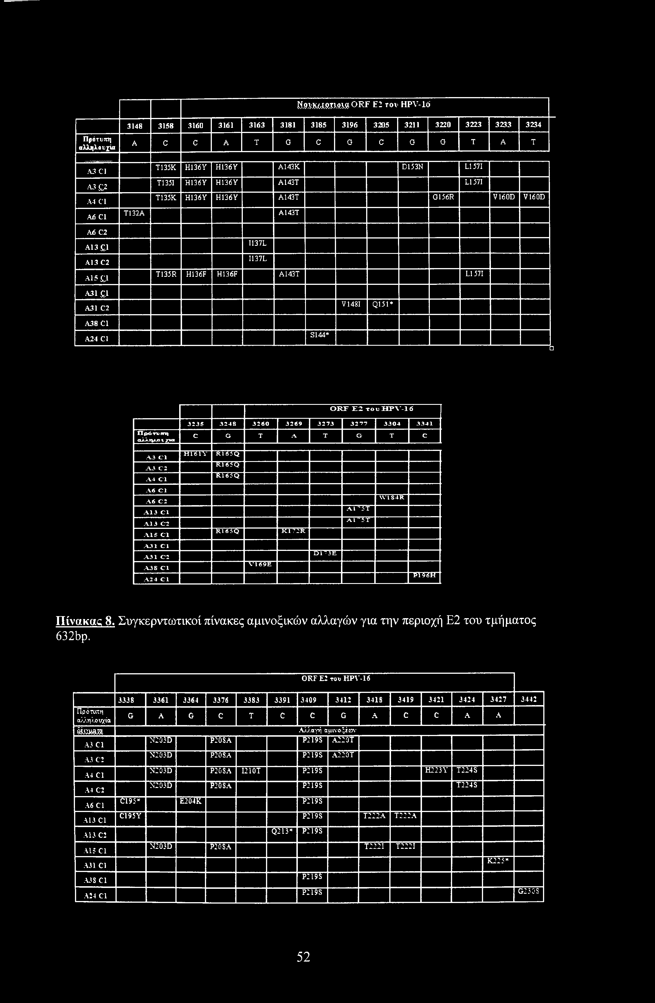 M,9A'W/l.9,TW,l» ORF E2 to* HPV-16 Πρότυπη αλληλουχία 3148 3158 3160 3161 3163 3181 3185 3196 3205 3211 3220 3223 3233 3234 A C C A T G C G C G G T A T A3 C1 as 2 Α4 C1 A6 Cl Α6 C2 A13 l Α13 C2 A15C.