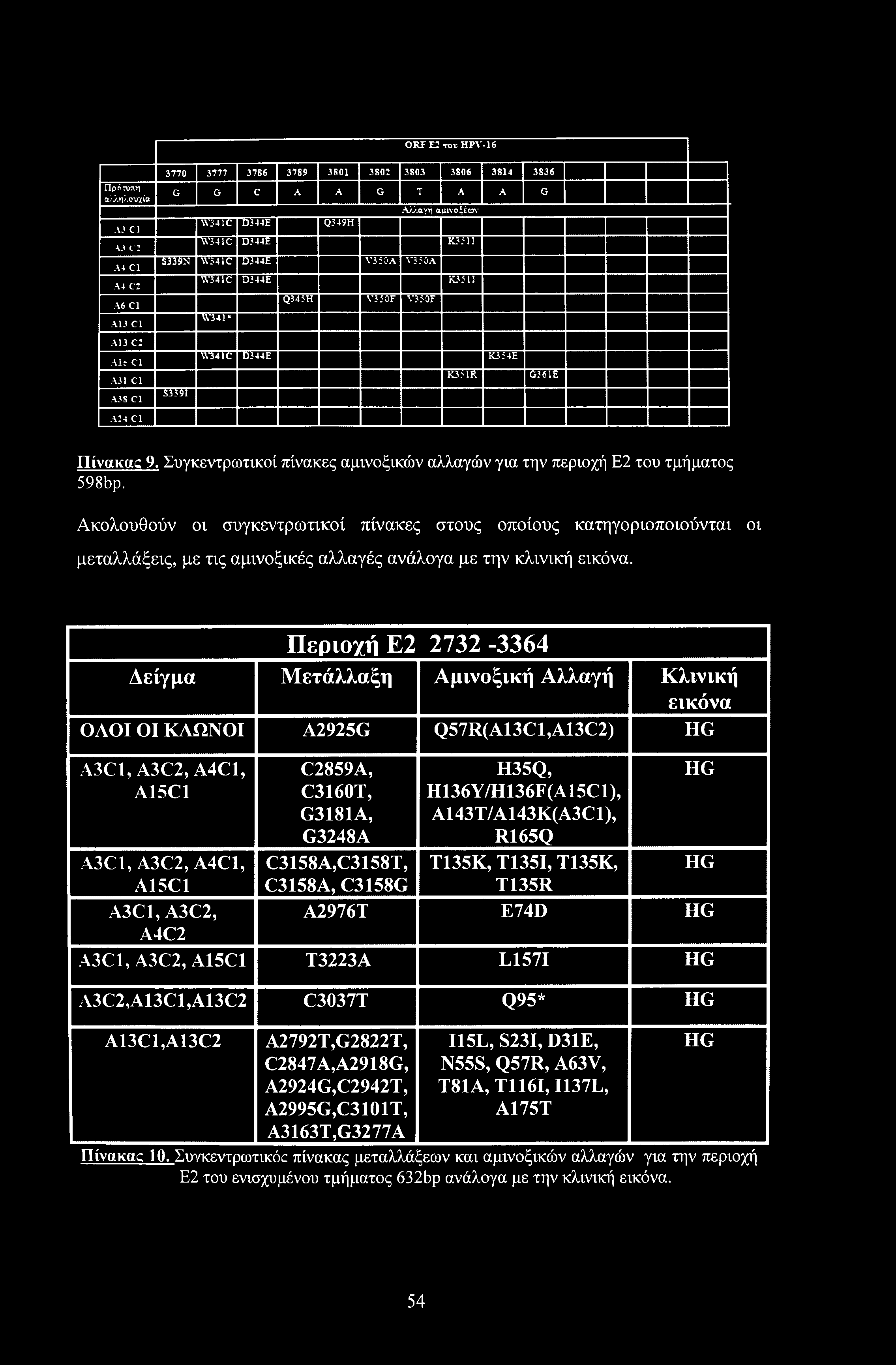 0ΚΓ E2 tod HPV-16 Πρότυπη αλληλουχία A3 Cl A3 c: Α4 Cl A4 C2 A6 Cl A13 Cl A13 C2 Air Cl A31 Cl A3S Cl 3770 3777 3786 3789 3801 3802 3803 3806 3814 3836 G G C A A G T A A G Αλλαγή αμτνοξέον W341C