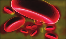 90. Aká je funkcia červených krviniek?