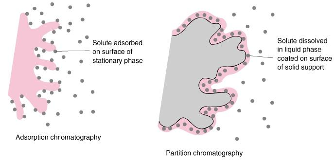 Diferite tipuri de interactiuni in cromatografie Cromatografie