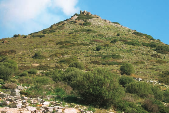 Ε. Τριακόσια μέτρα ανατολικά του αρχαίου θεάτρου Θορικού. 5. Αρχαίες μεταλλευτικές στοές.