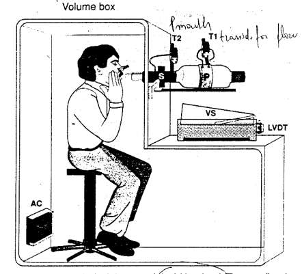 Flow Box